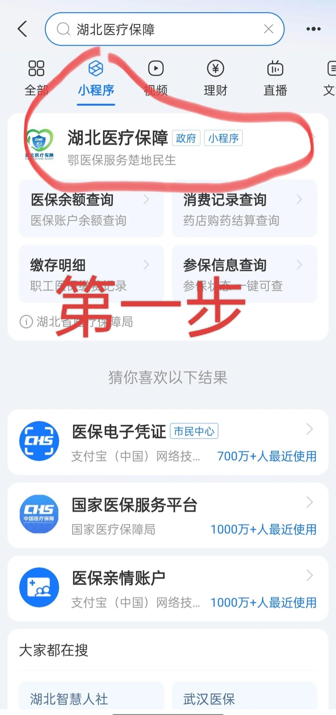 绵阳医保网上怎么缴费(孩子居民医保网上怎么缴费)